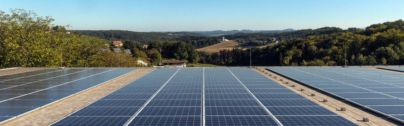 That is Zotter green photovoltaic roof