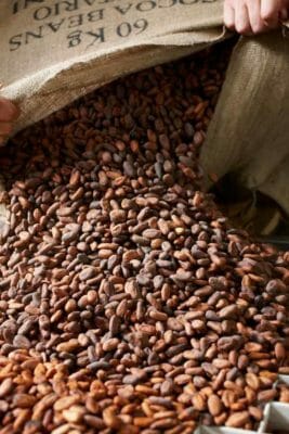 Zotter processes organic and fair traded cocoa only.