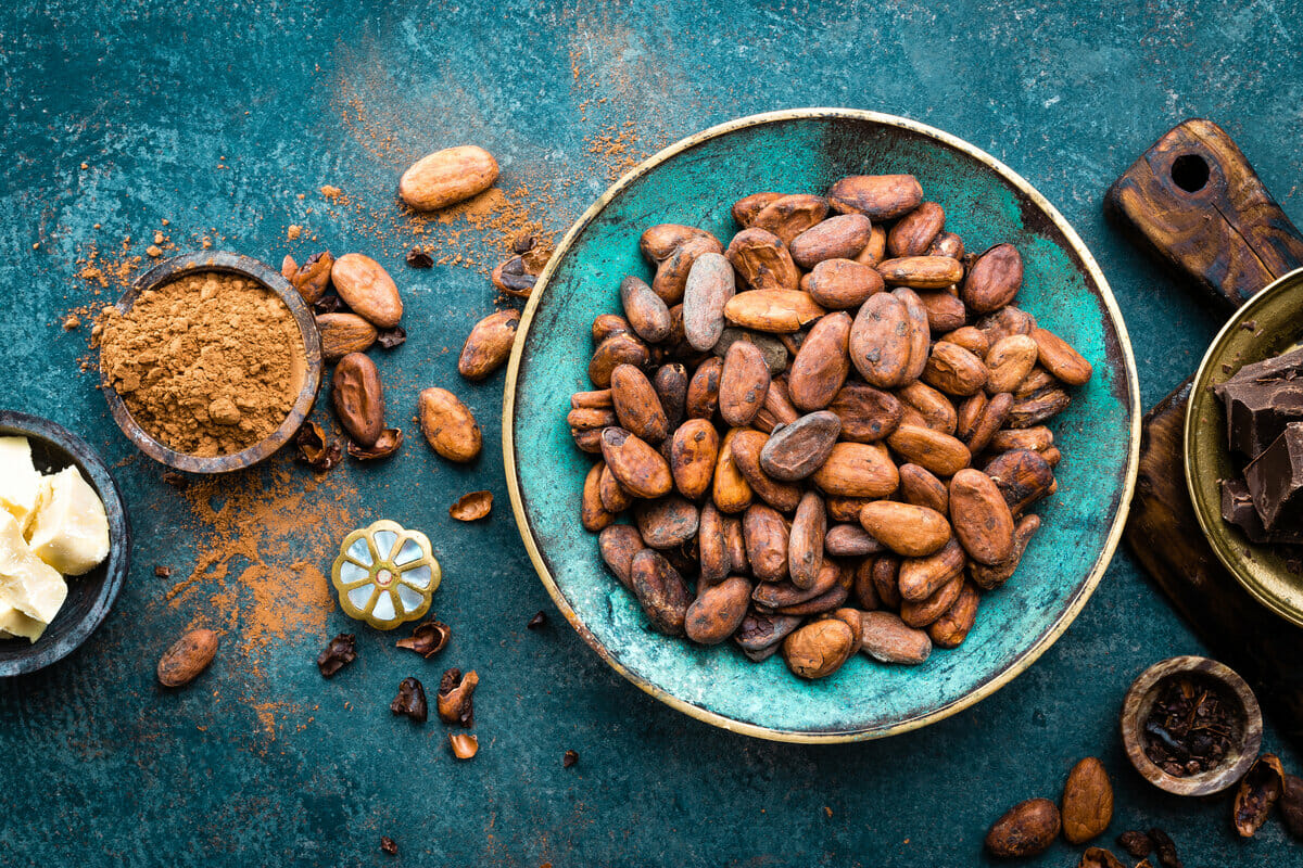 Cocoa. Cocoa beans, dark bitter chocolate chunks, cacao butter and cocoa powder. Cocoa background