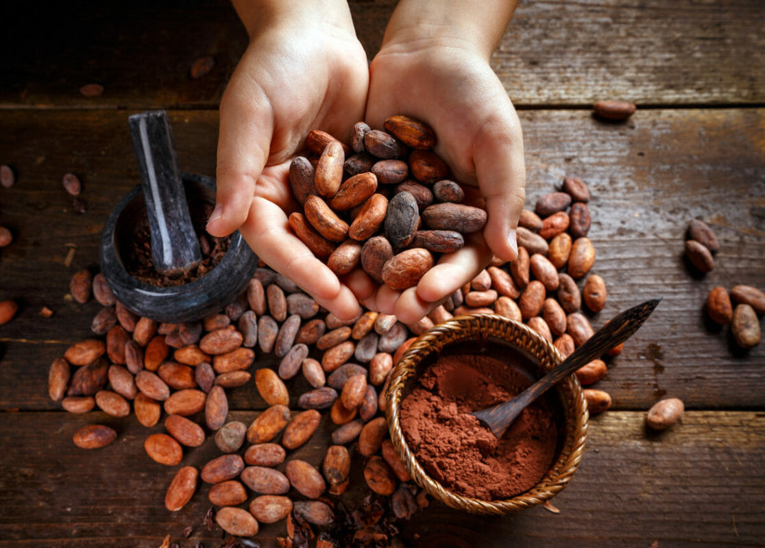Cocoa beans for bean-to-bar process