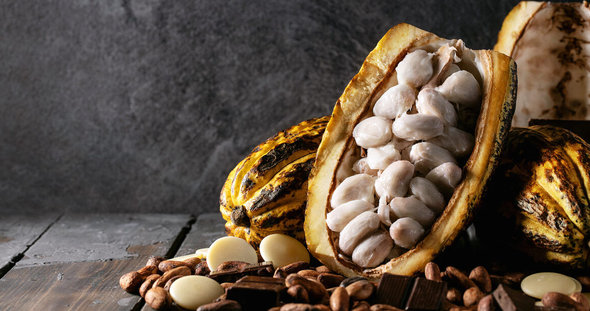 Cacao fruit decorated with fresh and dry cacao beans