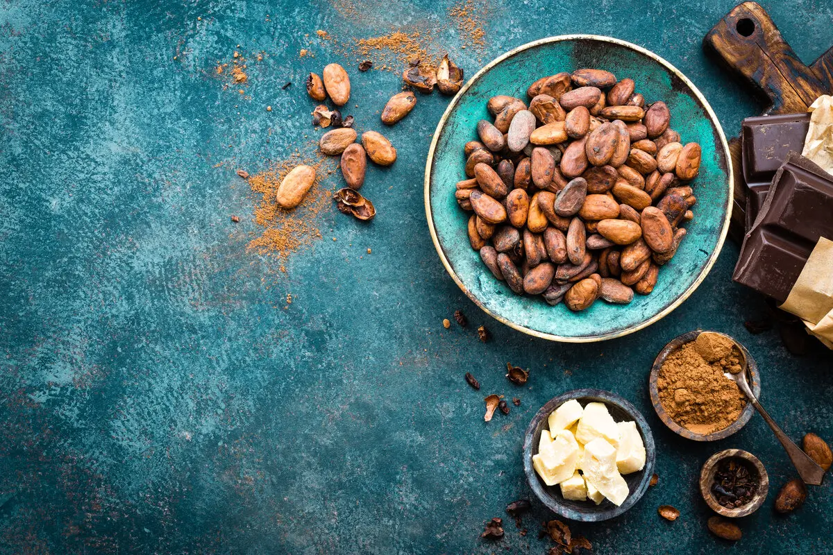 What Yields Different Chocolate Flavor Profiles? 7 Cocoa beans, dark bitter chocolate chunks, cacao butter and cocoa powder and other chocolate flavor profiles