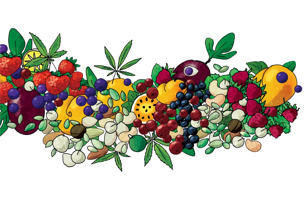 Try Something New With Our Cheery & Nuts Collection 1 Fruit to Bar