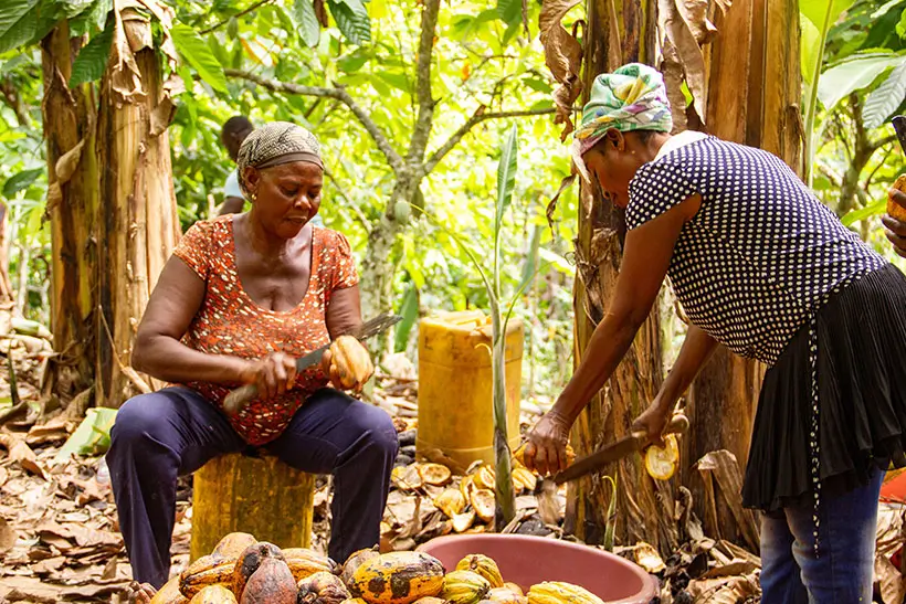 Cocoa trip with Julia Zotter to West Africa 2 cocoa-trip-west-africa-julia-zotter-3123-820