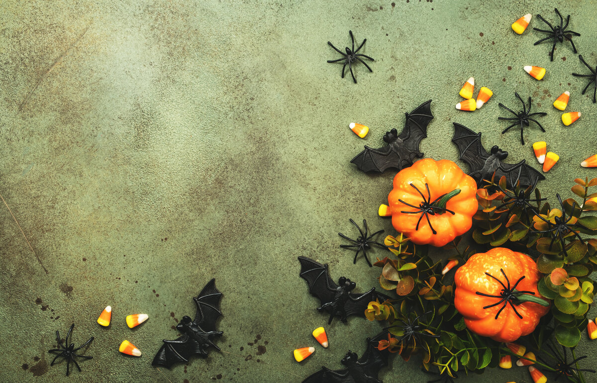 Happy Halloween swamp green background with pumpkins, bats, spiders and Zotter chocolate