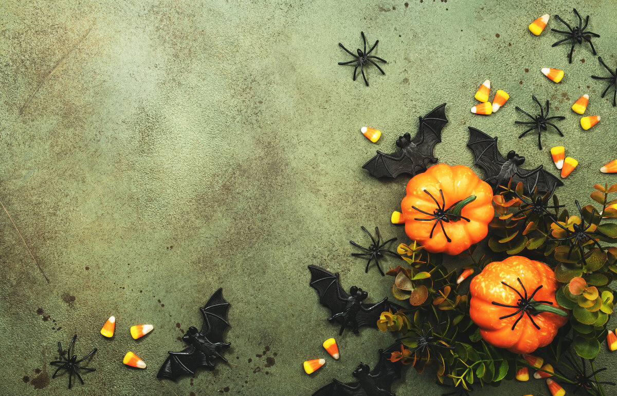 Skip the Halloween Candy and Indulge in Something Special From Zotter Chocolate 10 Happy Halloween swamp green background with pumpkins, bats, spiders and Zotter chocolate