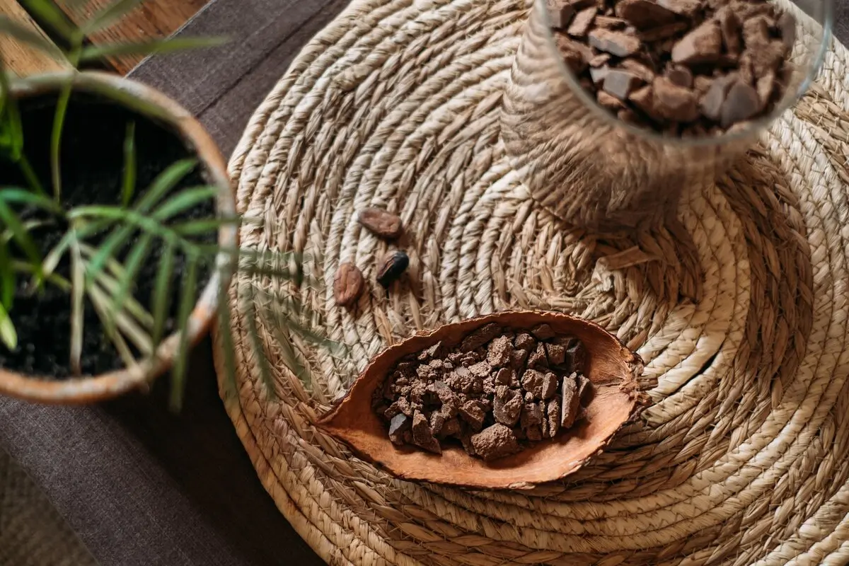 What Exactly Is Organic Chocolate? 9 Top view of organic chocolate cacao beans, handmade healthy chocolate