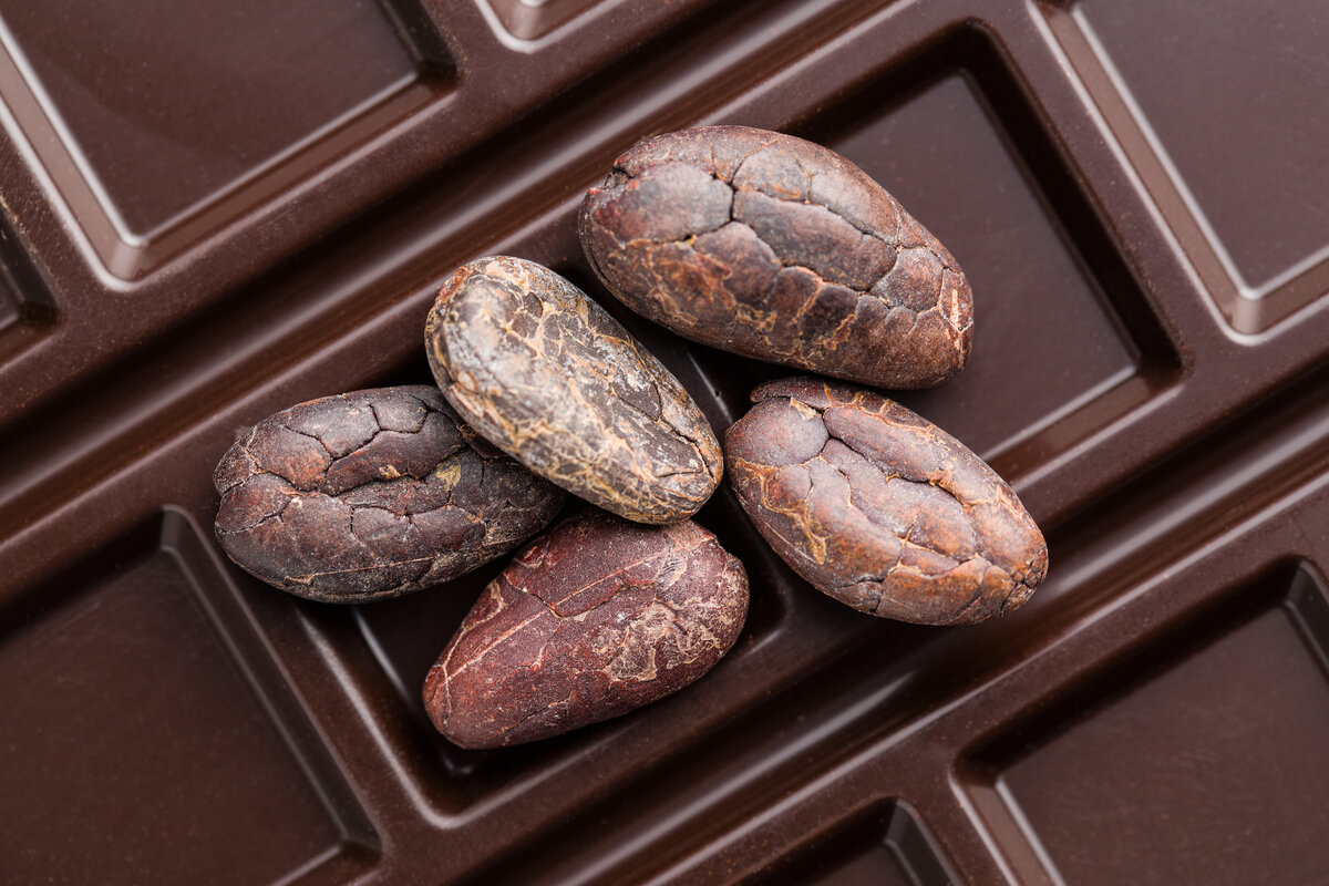 cocoa beans and chocolate bars