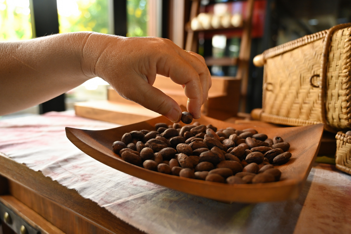 Cocoa Production