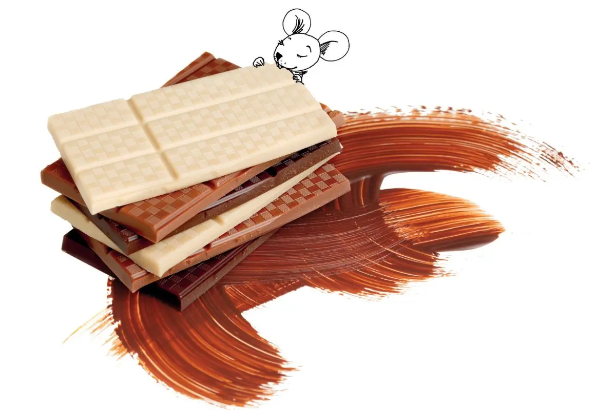 Unwrapped: Is Chocolate Bloom a Bad Thing? Find Out Here! 3 zotter classic chocolate