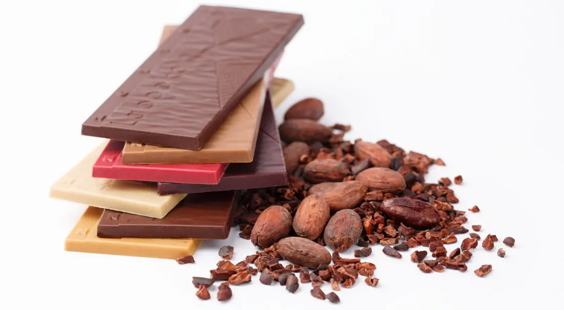 From Bean to Bar: The Fascinating Journey of Making the Best Hand-Scooped Chocolate 1 labooko-beans-nibs