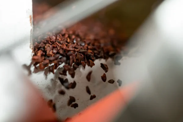 Cacao Nibs falling