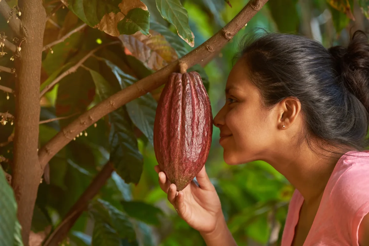 Why Ethical Chocolate Matters in Today’s Confectionery Market 8 Ethical Chocolate sourcing