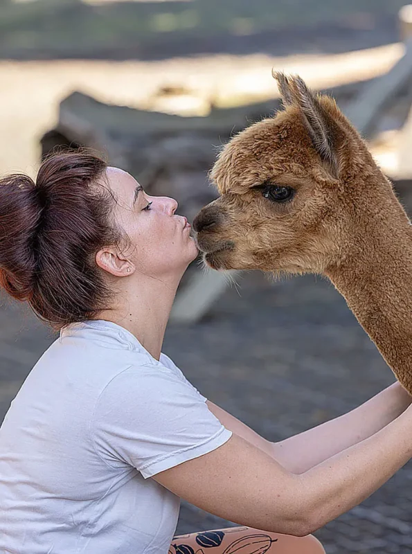 "With the Right Instinct" - Julia Zotter in an Interview with 5komma5sinne 1 Julia Zotter with an Alpaca in the Zotter Edible Zoo in Austria