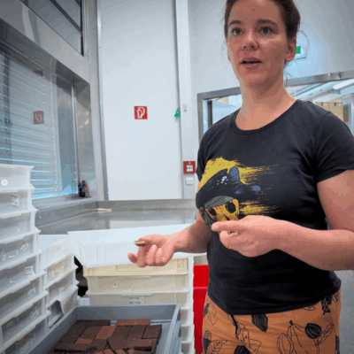 12 Julia zotter Explaining